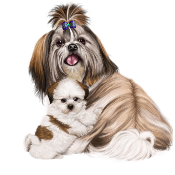 Собака ши тцу мультяшка