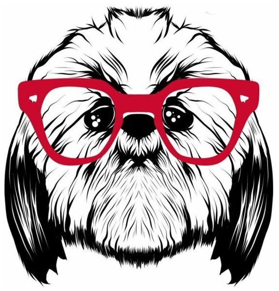 Толстовка ши-тцу в очках