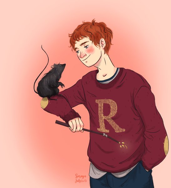 Рисунки Гарри Поттер Рон и Гермиона Грейнджер и Гарри