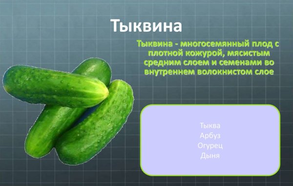 Тыквина слайд