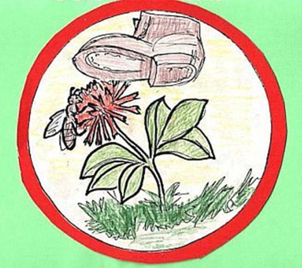 Плакат береги растения 3 кл