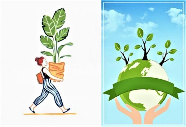 Плакат берегите растения