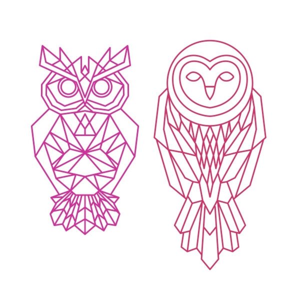 Сова из линий