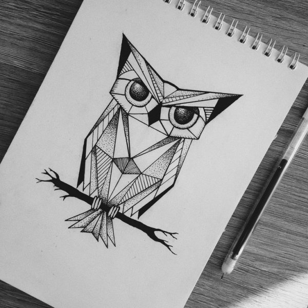 Геометрическая Сова эскиз