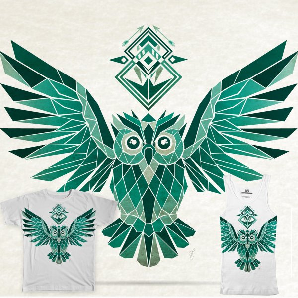 Геометрическая Сова