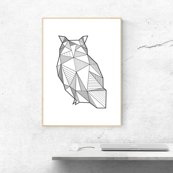 Геометрическая Сова