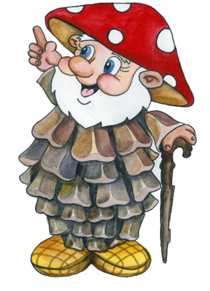 Боровик Лесовик сказочный персонаж