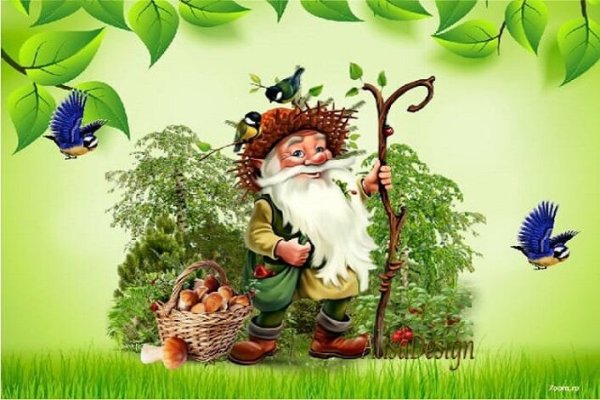 Боровик Лесовик сказочный персонаж