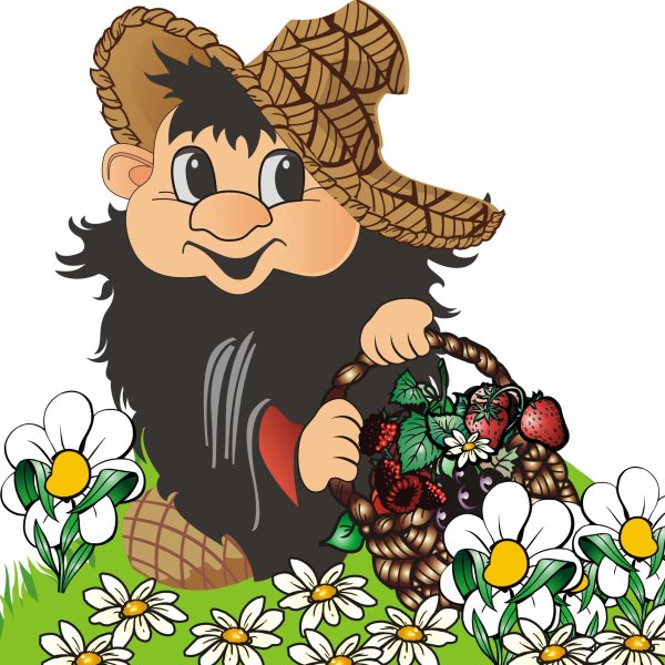 Гном Боровичок