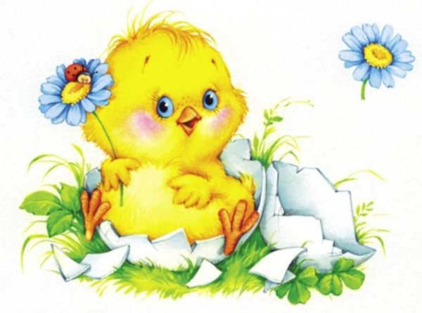 Цыпленок в скорлупе