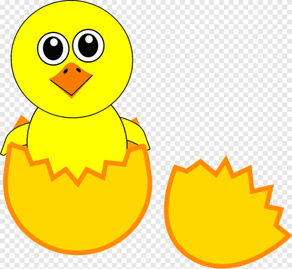 Цыпленок раскраска для детей