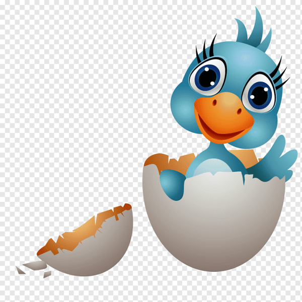 Цыпленок для детей