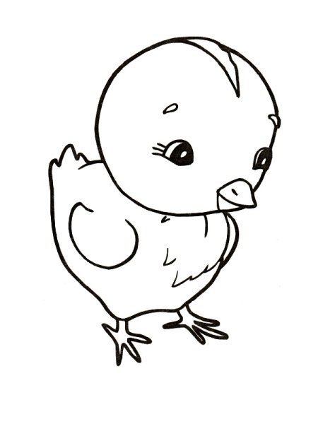 Рисование цыпленок