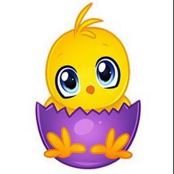 Цыпленок рисунок