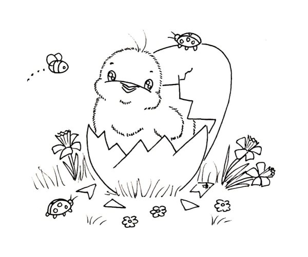 Цыплята мультяшные