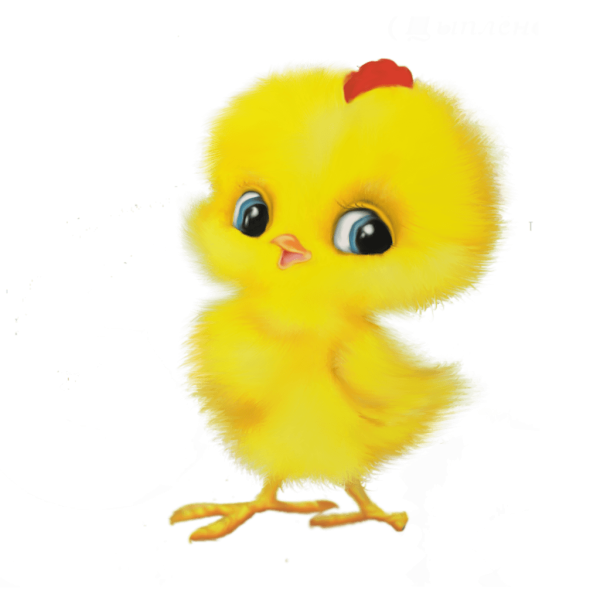 Цыпленок раскраска для детей