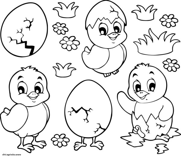 Цыплята мультяшные