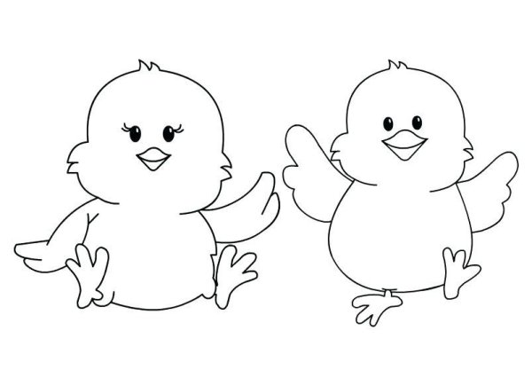 Цыпленок раскраска для малышей
