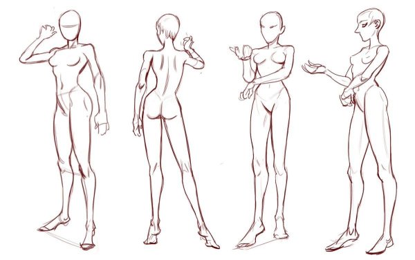 Анатомия референс в полный рост