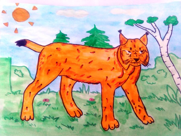 Рисование для дошкольников Рысь