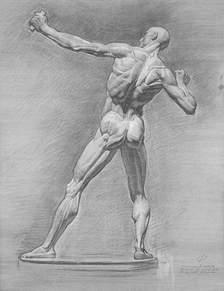 Экорше Гудона в ФАС