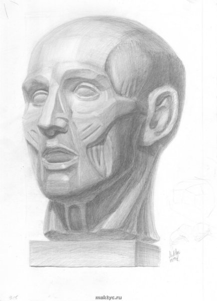 Экорше Гудона голова