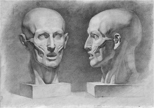 Экорше Гудона голова