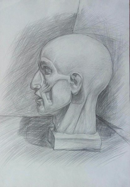 Экорше Гудона голова