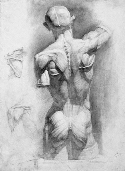 Гипсовая голова Экорше Гудон