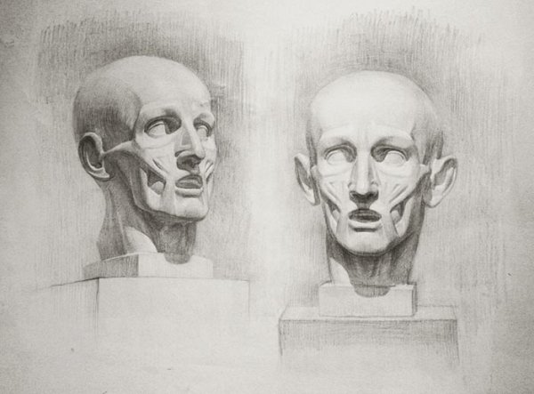 Голова Гудона Экорше Академия художеств