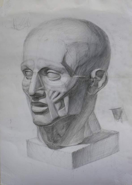 Голова Гудона Экорше Академия художеств