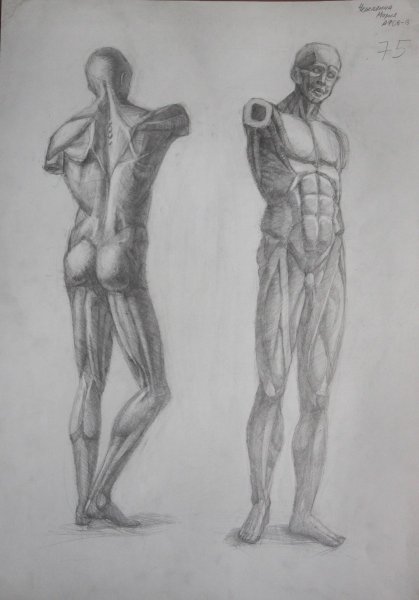 Гудон скульптор Экорше