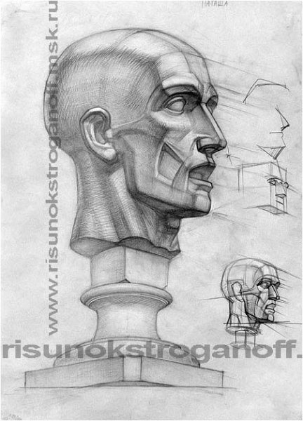 Экорше Микеланджело