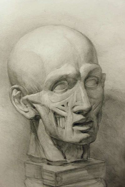 Экорше Гудона мышцы