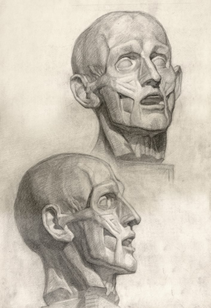 Гудон Экорше