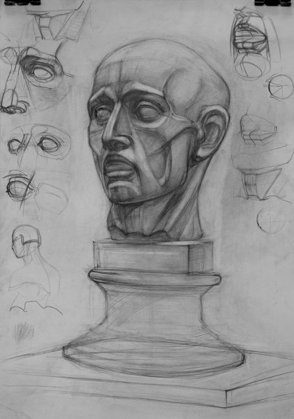 Гипсовая голова Экорше Академический рисунок