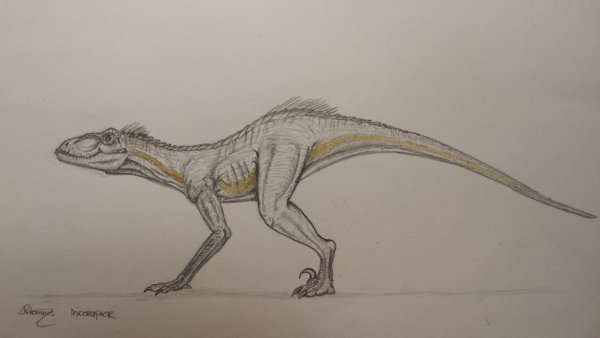 Велоцераптор карандашом для срисовки