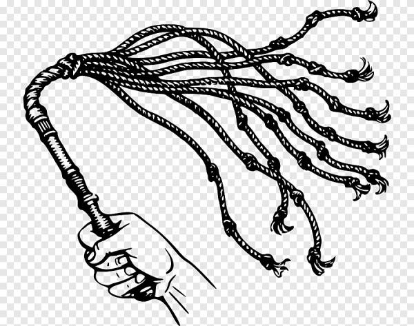 Плеть девятихвостка