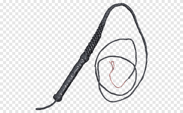 Плетка на прозрачном фоне