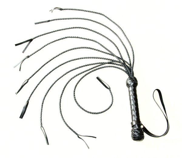 Плеть девятихвостка