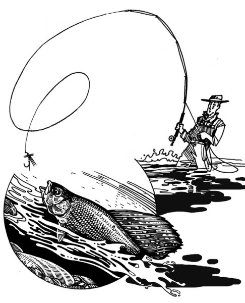 Хариус векторные изображения