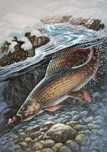 Александр Дегтев рыба