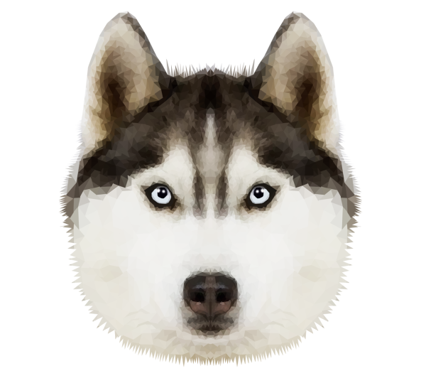 Аляскинский хаски,хаски Сибирский , Сахалинская хаски