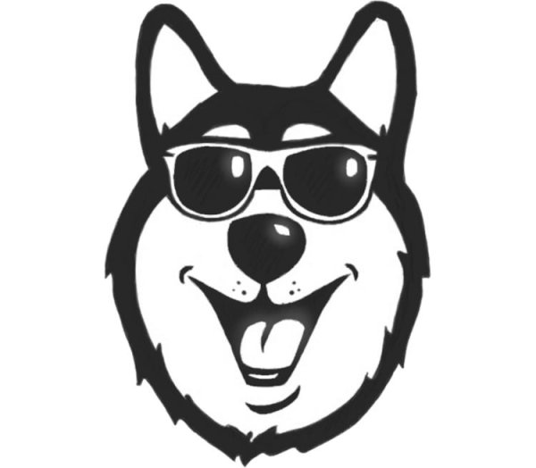 Собака в очках