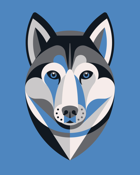 Хаски стилизация