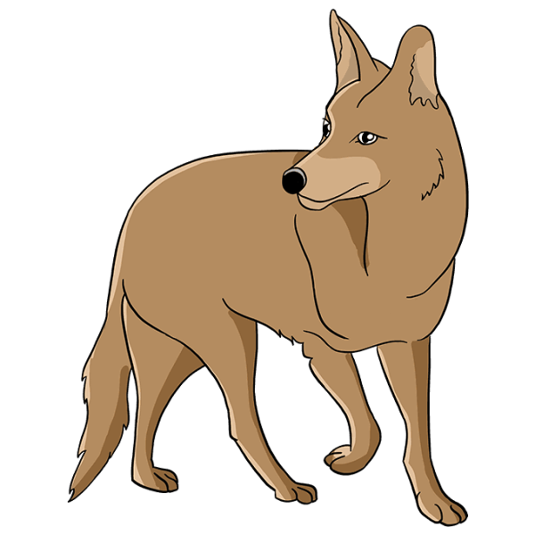 Койот мультяшный