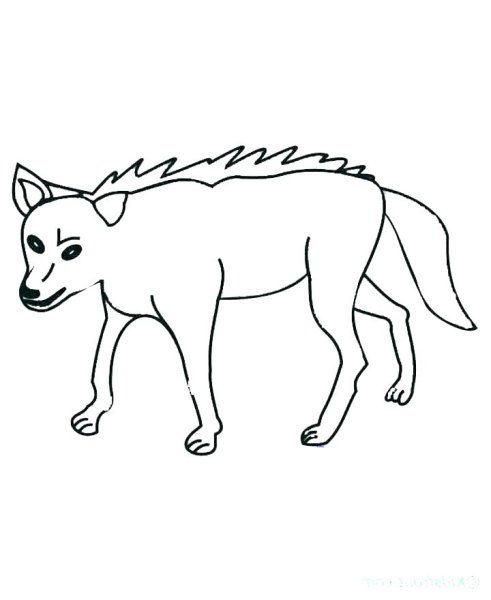 Раскраска Шакал