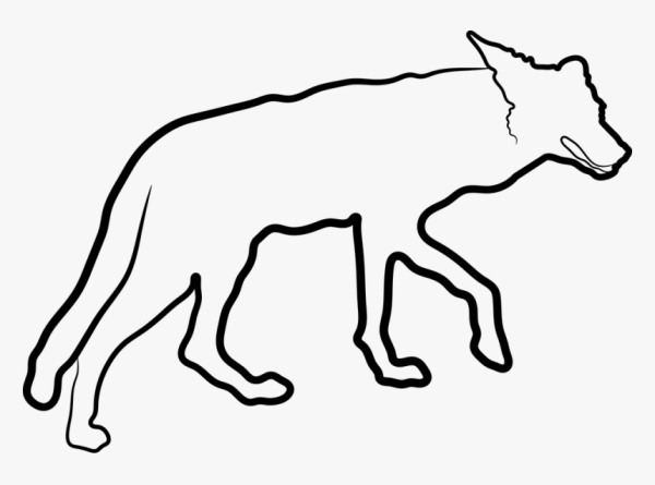 Койот трафарет