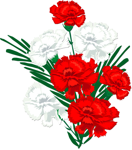 Гвоздика Фунза