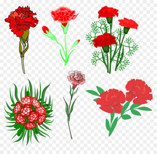 Гвоздика вектор